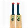 Illustration of cricket bat and ball